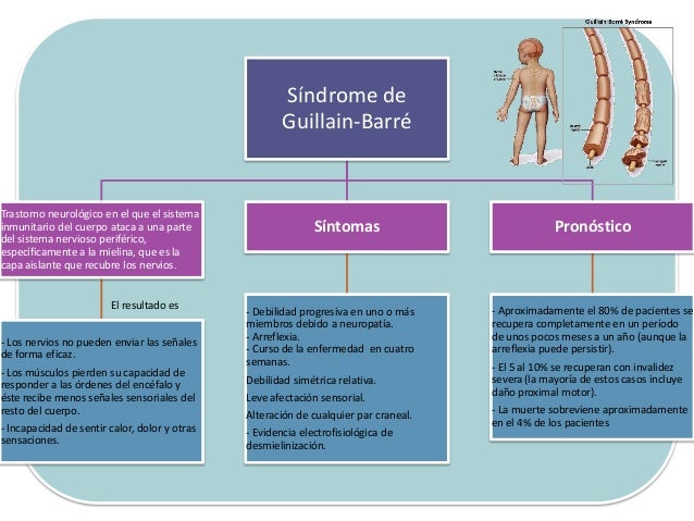 Patologías del sistema nervioso
