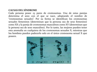 CAUSAS DEL SÍNDROME
Cada persona posee 23 pares de cromosomas. Una de estas parejas
determina el sexo con el que se nace, adoptando el nombre de
“cromosomas sexuales”. Por su forma se identifican los cromosomas
sexuales femeninos (determinan que la persona sea de sexo femenino)
como XX y la pareja de cromosomas masculinos como XY (determinan que
la persona sea de sexo masculino). Por lo tanto, las mujeres pueden tener
esta anomalía en cualquiera de los cromosomas sexuales X, mientras que
los hombres pueden padecerlo solo en el único cromosoma sexual X que
poseen.

 