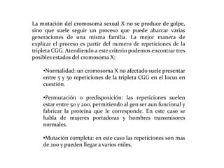 La mutación del cromosoma sexual X no se produce de golpe,
sino que suele seguir un proceso que puede abarcar varias
generaciones de una misma familia. La mejor manera de
explicar el proceso es partir del numero de repeticiones de la
tripleta CGG. Atendiendo a este criterio podemos encontrar tres
posibles estados del cromosoma X:
•Normalidad: un cromosoma X no afectado suele presentar
entre 5 y 50 repeticiones de la tripleta CGG en el locus en
cuestión.
•Permutación o predisposición: las repeticiones suelen
estar entre 50 y 200, permitiendo al gen ser aun funcional y
fabricar la proteína que le corresponde. En este caso se
habla de mujeres portadoras y hombres transmisores
normales.
•Mutación completa: en este caso las repeticiones son mas
de 200 y pueden llegar a varios miles.

 