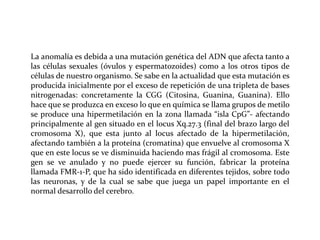 La anomalía es debida a una mutación genética del ADN que afecta tanto a
las células sexuales (óvulos y espermatozoides) como a los otros tipos de
células de nuestro organismo. Se sabe en la actualidad que esta mutación es
producida inicialmente por el exceso de repetición de una tripleta de bases
nitrogenadas: concretamente la CGG (Citosina, Guanina, Guanina). Ello
hace que se produzca en exceso lo que en química se llama grupos de metilo
se produce una hipermetilación en la zona llamada “isla CpG”- afectando
principalmente al gen situado en el locus Xq.27.3 (final del brazo largo del
cromosoma X), que esta junto al locus afectado de la hipermetilación,
afectando también a la proteína (cromatina) que envuelve al cromosoma X
que en este locus se ve disminuida haciendo mas frágil al cromosoma. Este
gen se ve anulado y no puede ejercer su función, fabricar la proteína
llamada FMR-1-P, que ha sido identificada en diferentes tejidos, sobre todo
las neuronas, y de la cual se sabe que juega un papel importante en el
normal desarrollo del cerebro.

 
