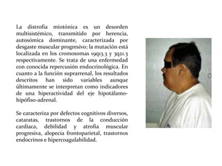 La distrofia miotónica es un desorden
multisistémico, transmitido por herencia,
autosómica dominante, caracterizada por
desgaste muscular progresivo; la mutación está
localizada en los cromosomas 19q13.3 y 3q21.3
respectivamente. Se trata de una enfermedad
con conocida repercusión endocrinológica. En
cuanto a la función suprarrenal, los resultados
descritos han sido variables aunque
últimamente se interpretan como indicadores
de una hiperactividad del eje hipotálamohipófiso-adrenal.
Se caracteriza por defectos cognitivos diversos,
cataratas, trastornos de la conducción
cardíaca, debilidad y atrofia muscular
progresiva, alopecia frontoparietal, trastornos
endocrinos e hipercoagulabilidad.

 