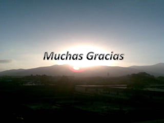 Patologías de transporte de arn