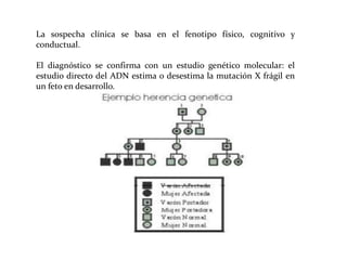 La sospecha clínica se basa en el fenotipo físico, cognitivo y
conductual.
El diagnóstico se confirma con un estudio genético molecular: el
estudio directo del ADN estima o desestima la mutación X frágil en
un feto en desarrollo.

 