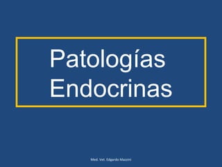 Patologías
Endocrinas
Med. Vet. Edgardo Mazzini
 