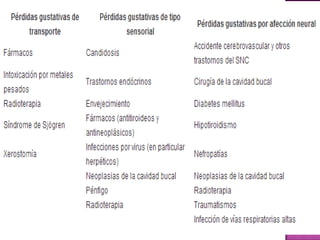 Patologías gustativas