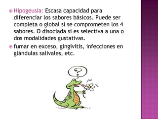  Hipogeusia:

Escasa capacidad para
diferenciar los sabores básicos. Puede ser
completa o global si se comprometen los 4
sabores. O disociada si es selectiva a una o
dos modalidades gustativas.
 fumar en exceso, gingivitis, infecciones en
glándulas salivales, etc.

 