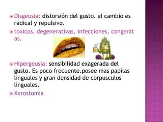  Disgeusia:

distorsión del gusto. el cambio es
radical y repulsivo.
 toxicos, degenerativas, infecciones, congenit
as.

 Hipergeusia:

sensibilidad exagerada del
gusto. Es poco frecuente.posee mas papilas
linguales y gran densidad de corpusculos
linguales.
 Xerostomía

 