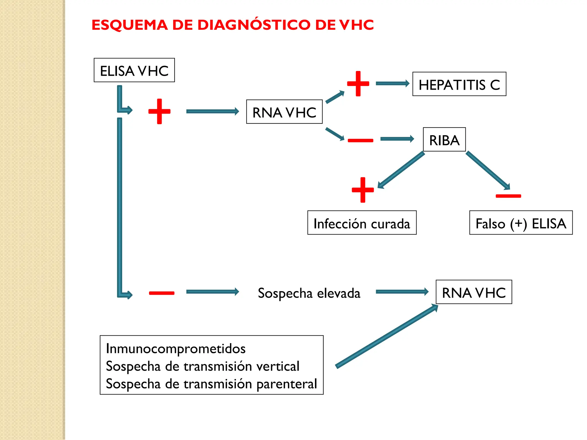 Que Detecta Vhc Patologías hepáticas Ictericia, hipertensión portal, hepatitis víricas ...