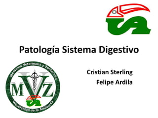 Patología Sistema Digestivo
Cristian Sterling
Felipe Ardila
 