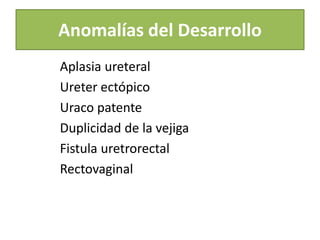 Anomalías del Desarrollo
Aplasia ureteral
Ureter ectópico
Uraco patente
Duplicidad de la vejiga
Fistula uretrorectal
Rectovaginal
 