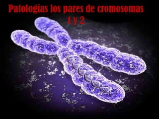 Patologías los pares de cromosomas
1 y 2
 