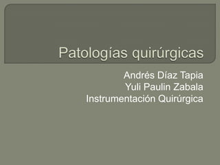 Patologías quirúrgicas  Andrés Díaz Tapia YuliPaulin Zabala Instrumentación Quirúrgica 
