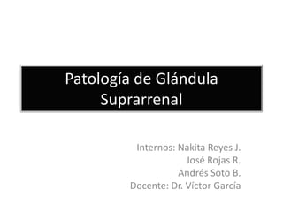 Patología de Glándula
     Suprarrenal

         Internos: Nakita Reyes J.
                     José Rojas R.
                   Andrés Soto B.
        Docente: Dr. Víctor García
 