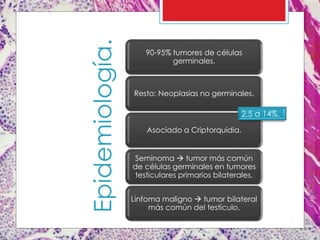 Epidemiología.
90-95% tumores de células
germinales.
Resto: Neoplasias no germinales.
Asociado a Criptorquidia.
Seminoma  tumor más común
de células germinales en tumores
testiculares primarios bilaterales.
Linfoma maligno  tumor bilateral
más común del testículo.
2,5 a 14%.
 