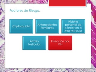 Criptorquidia
Antecedentes
familiares
Historia
personal de
cáncer en el
otro testículo
Atrofia
testicular
Infección por
VIH
Factores de Riesgo.
 