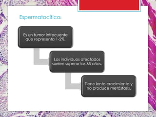 Es un tumor infrecuente
que representa 1-2%.
Los individuos afectados
suelen superar los 65 años.
Tiene lento crecimiento y
no produce metástasis.
Espermatocítico:
 