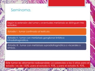 Según la extensión del tumor y eventuales metástasis se distinguen tres
estadios:
-Estadio I : tumor confinado al testículo.
-Estadio II : tumor con metástasis ganglionar linfática
infradiafragmática.
-Estadio III : tumor con metástasis supradiafragmática o viscerales o
ambas.
Este tumor es altamente radiosensible: La sobrevida a los 5 años para el
estadio I es de 100%; para el estadio II, 95%, y para el estadio III, 90%.
Seminoma.
 