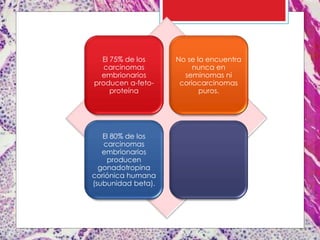 El 75% de los
carcinomas
embrionarios
producen a-feto-
proteína
No se la encuentra
nunca en
seminomas ni
coriocarcinomas
puros.
El 80% de los
carcinomas
embrionarios
producen
gonadotropina
coriónica humana
(subunidad beta).
 