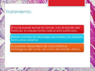 Tratamiento:
Si no se puede excluir el cáncer, con el estudio del
testículo, la orquiectomía radical está justificada.
Deben evitarse los abordajes escrotales y las biopsias
testiculares abiertas.
Tx posterior dependerá de características
histológicas del tumor, así como del estadio clínico.
 