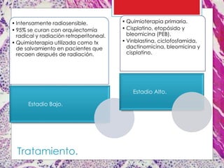 • Intensamente radiosensible.
• 95% se curan con orquiectomía
radical y radiación retroperitoneal.
• Quimioterapia utilizada como tx
de salvamiento en pacientes que
recaen después de radiación.
Estadio Bajo.
• Quimioterapia primaria.
• Cisplatino, etopósido y
bleomicina (PEB).
• Vinblastina, ciclofosfamida,
dactinomicina, bleomicina y
cisplatino.
Estadio Alto.
Tratamiento.
 