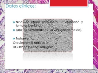 Datos clínicos:
 Niños en etapa prepuberal  virilización y
tumores benignos.
 Adultos asintomáticos (20-25% ginecomastia).
 Tratamiento:
Orquiectomía radical.
DGLRP en lesiones malignas.
 