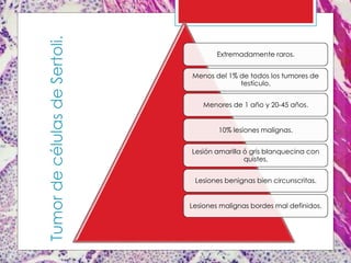 TumordecélulasdeSertoli. Extremadamente raros.
Menos del 1% de todos los tumores de
testículo.
Menores de 1 año y 20-45 años.
10% lesiones malignas.
Lesión amarilla ó gris blanquecina con
quistes.
Lesiones benignas bien circunscritas.
Lesiones malignas bordes mal definidos.
 