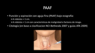 PAAF 
• Punción y aspiración con aguja fina (PAAF) bajo ecografía: 
A nódulos > 1 cm. 
A nódulos < 1 cm con características de malignidad o factores de riesgo. 
• Citología (en base a clasificacion NCI-Bethesda 2007 y guías ATA 2009) 
 