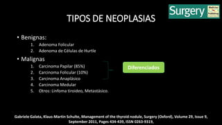TIPOS DE NEOPLASIAS 
• Benignas: 
1. Adenoma Folicular 
2. Adenoma de Células de Hurtle 
• Malignas 
1. Carcinoma Papilar (85%) 
2. Carcinoma Folicular (10%) 
3. Carcinoma Anaplásico 
4. Carcinoma Medular 
5. Otros: Linfoma tiroideo, Metastásico. 
Diferenciados 
Gabriele Galata, Klaus-Martin Schulte, Management of the thyroid nodule, Surgery (Oxford), Volume 29, Issue 9, 
September 2011, Pages 434-439, ISSN 0263-9319, 
 