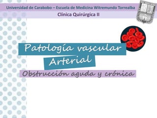 Universidad de Carabobo – Escuela de Medicina Witremundo Torrealba
Clínica Quirúrgica II
 
