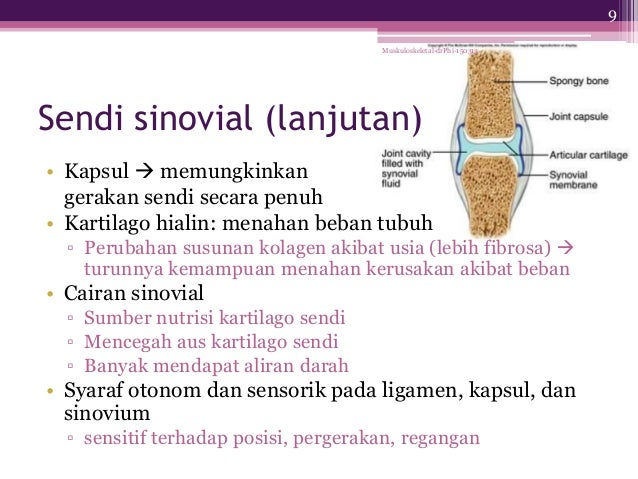 Patologi muskuloskeletal