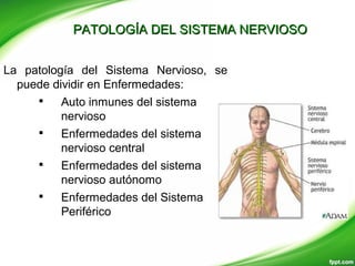 PATOLOGÍA DEL SISTEMA NERVIOSOPATOLOGÍA DEL SISTEMA NERVIOSO
La patología del Sistema Nervioso, se
puede dividir en Enfermedades:

Auto inmunes del sistema
nervioso

Enfermedades del sistema
nervioso central

Enfermedades del sistema
nervioso autónomo

Enfermedades del Sistema
Periférico
 
