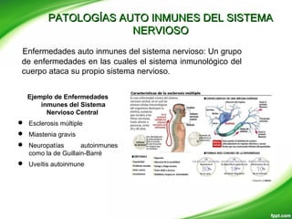 PATOLOGÍAS AUTO INMUNES DEL SISTEMAPATOLOGÍAS AUTO INMUNES DEL SISTEMA
NERVIOSONERVIOSO
Enfermedades auto inmunes del sistema nervioso: Un grupo
de enfermedades en las cuales el sistema inmunológico del
cuerpo ataca su propio sistema nervioso.
Ejemplo de Enfermedades
inmunes del Sistema
Nervioso Central
 Esclerosis múltiple
 Miastenia gravis
 Neuropatías autoinmunes
como la de Guillain-Barré
 Uveítis autoinmune
 