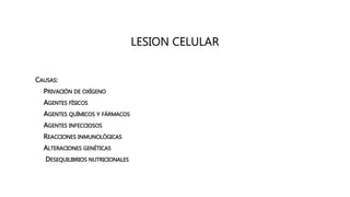 LESION CELULAR
CAUSAS:
• PRIVACIÓN DE OXÍGENO
• AGENTES FÍSICOS
• AGENTES QUÍMICOS Y FÁRMACOS
• AGENTES INFECCIOSOS
• REACCIONES INMUNOLÓGICAS
• ALTERACIONES GENÉTICAS
• DESEQUILIBRIOS NUTRICIONALES
 