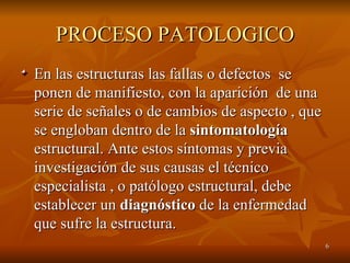 PROCESO PATOLOGICO ,[object Object]