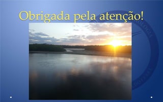 Obrigada pela atenção!
 