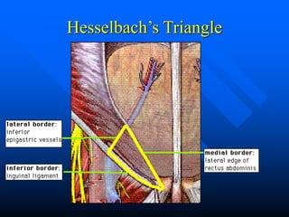 Patología herniaria | PPT