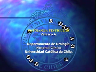 PATOLOGIA TESTICULAR Velasco A. Departamento de Urología. Hospital Clínico  Universidad Católica de Chile. 