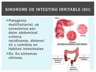 SINDROME DE INTESTINO IRRITABLE (SII)

Patogenia
 multifactorial, se
 caracteriza por:
 dolor abdominal
 crónica
 recidivante, distenci
 ón y cambios en
 hábitos intestinales
Dx. En síntomas
 clínicos.
 