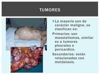 TUMORES

     La mayoría son de
      carácter maligno, se
      clasifican en:
    Primarios: son
      mesoteliomas, similar
      es a tumores
      pleurales o
      pericardico.
    Secundarios: están
      relacionados con
      metástasis.
 