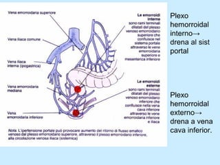 Patologia anorectales