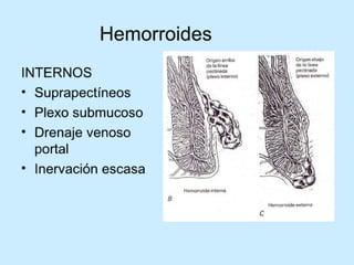 Patologia anorectales