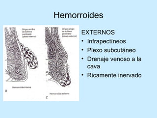 Patologia anorectales