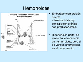Patologia anorectales