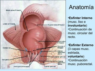 Patologia anorectales