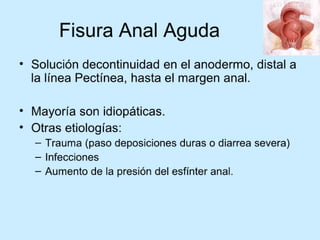 Patologia anorectales