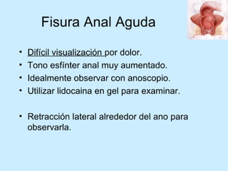 Patologia anorectales