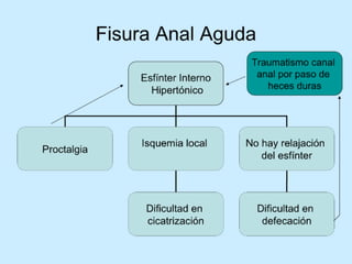 Patologia anorectales