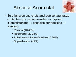 Patologia anorectales