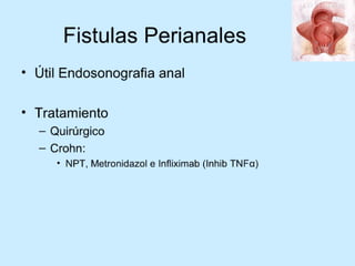 Patologia anorectales