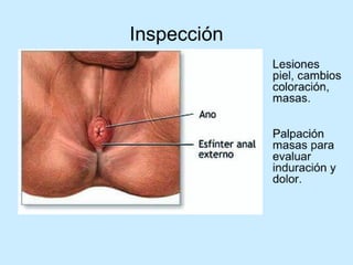 Patologia anorectales